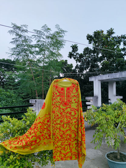 Chikonwala's Exclusive Hand Embroidered Fulkari Dress