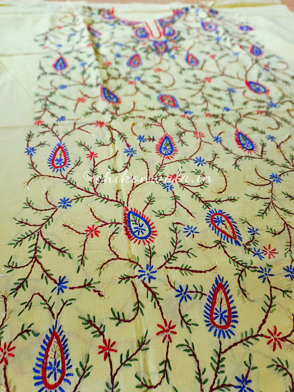 Chikonwala's Exclusive Hand Embroidered Fulkari Dress